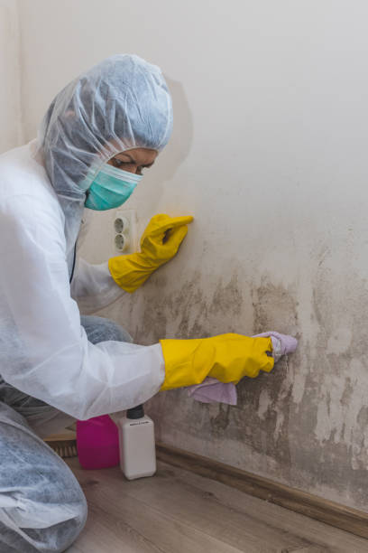 Best Crawl Space Mold Remediation  in Kibler, AR